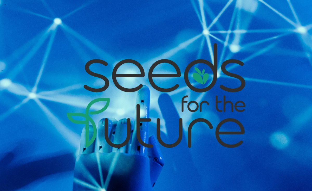 Seeds For The Future 2026: requisitos para postularte