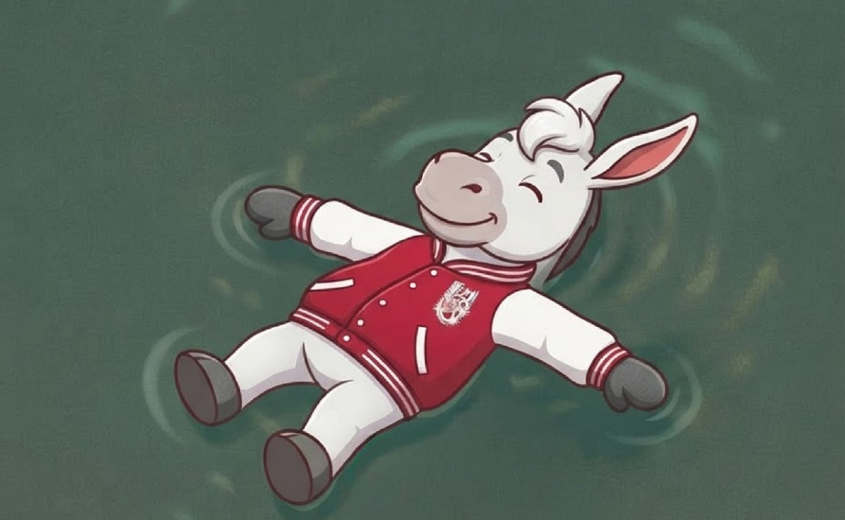 mascotas-universitarias