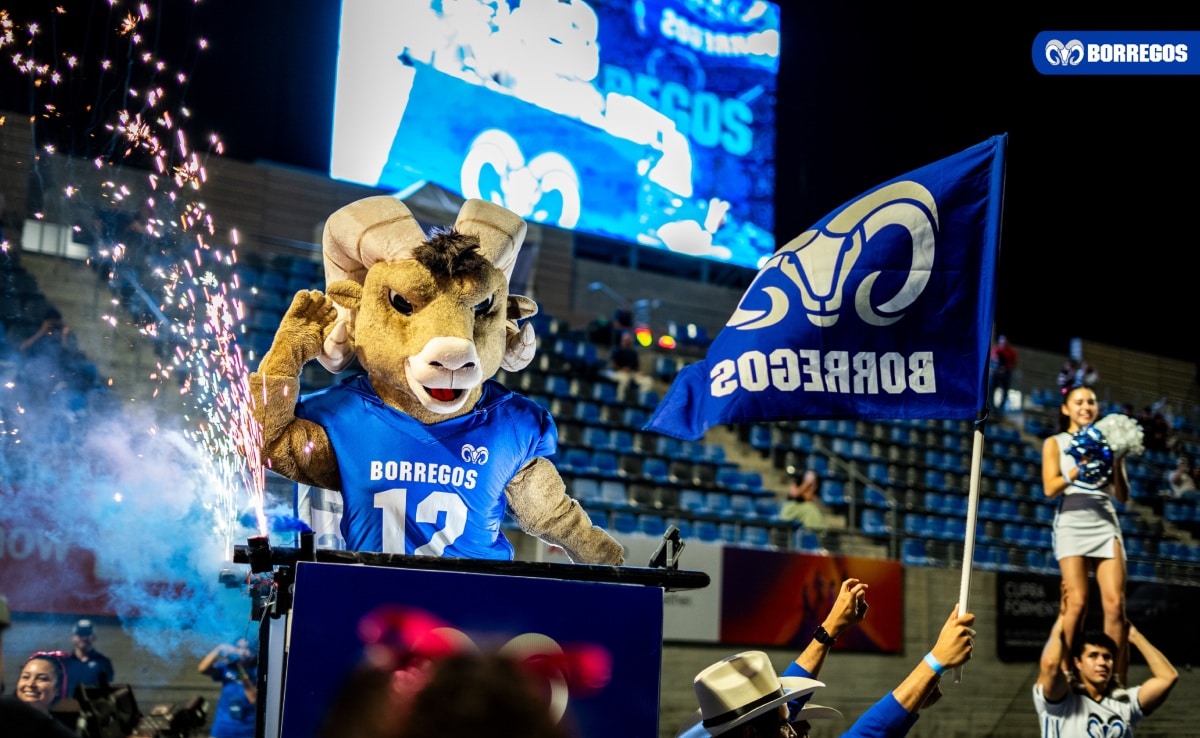 mascotas-universitarias